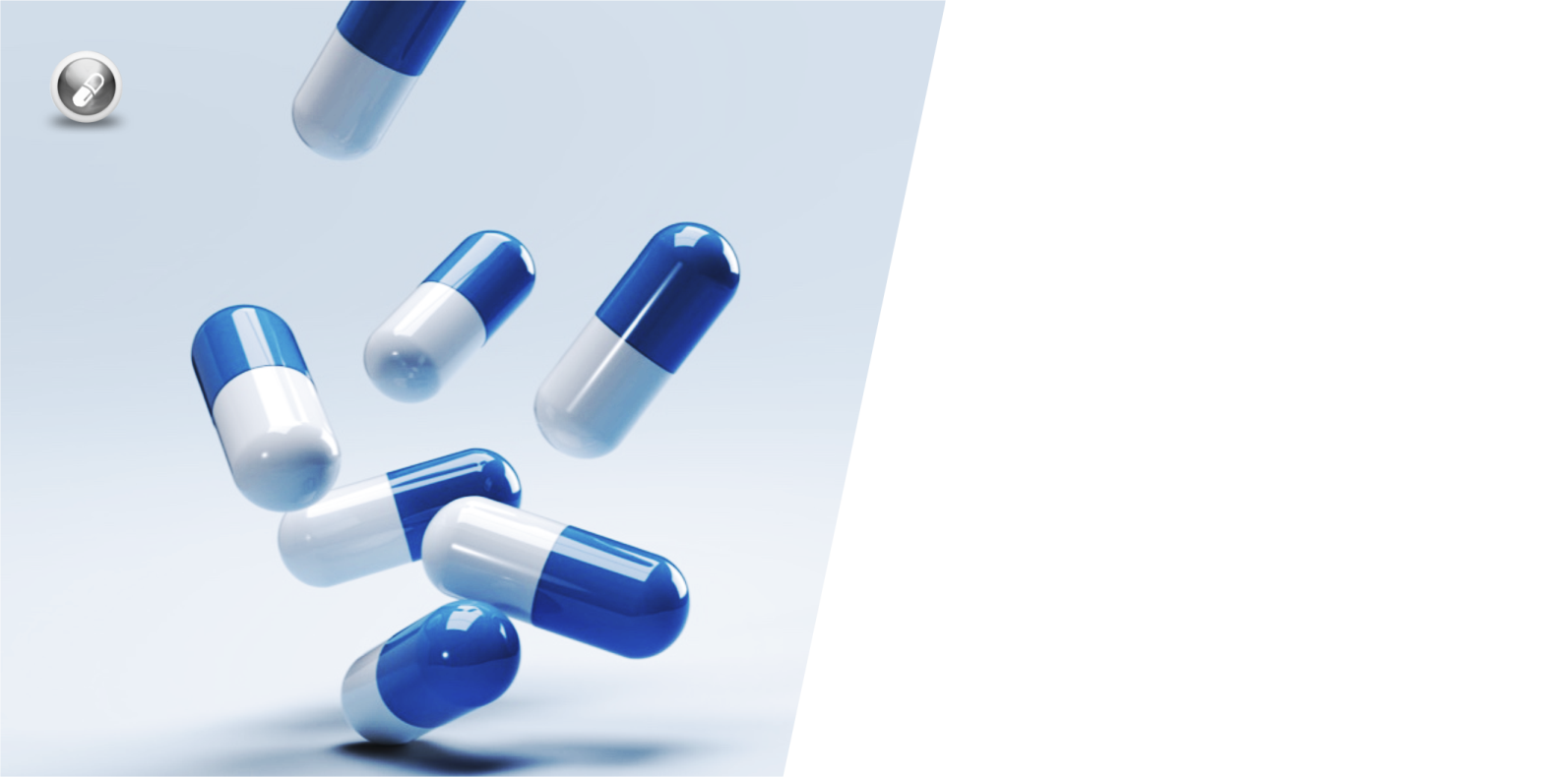 Pharmaceutical Sector