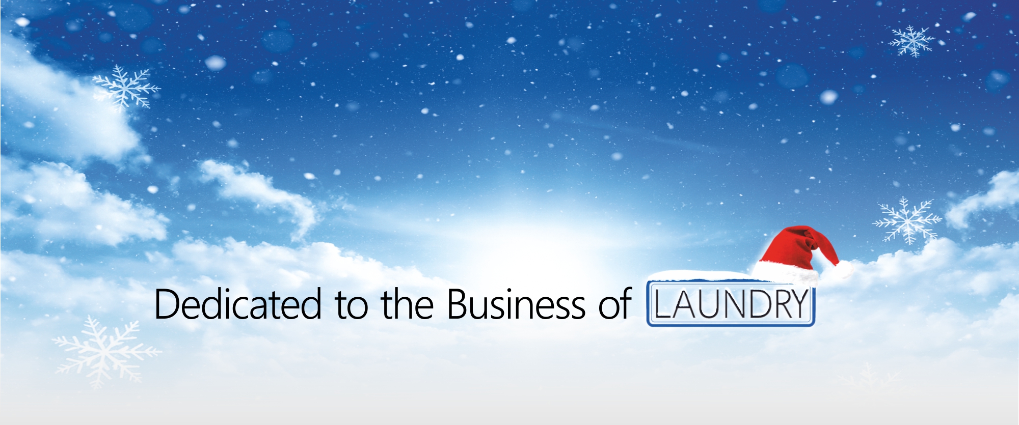 Επαγγελματικός εξοπλισμός πλυντηρίων