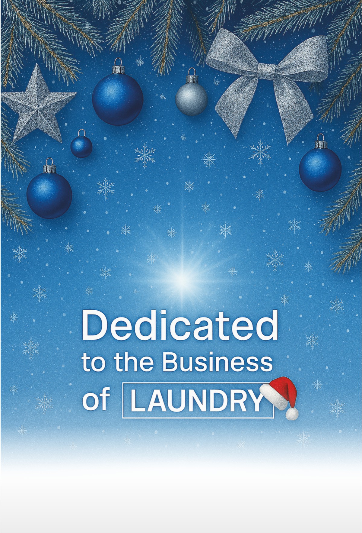 Επαγγελματικός εξοπλισμός πλυντηρίων